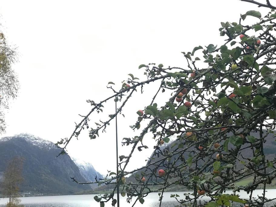 Apartment With Lake View In Jolster Ardal  Exterior photo